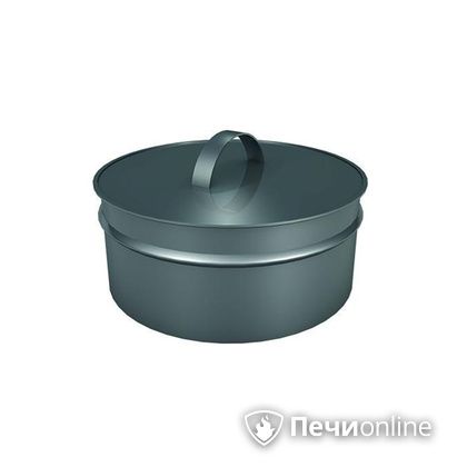 Заглушки Теплов и Сухов Заглушка ревизии Термо-Р 304 0.5 D220(120) в Мытищах