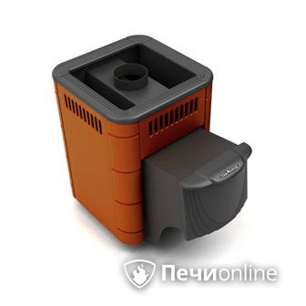 Дровяная банная печь TMF Оса Carbon терракота дверь антрацит в Мытищах
