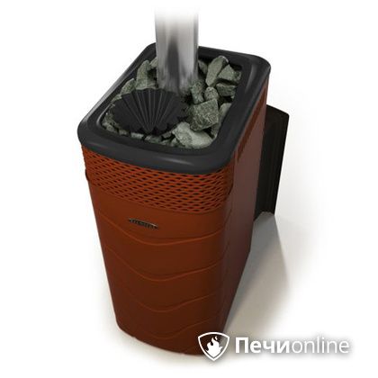 Дровяная банная печь TMF Гейзер XXL 2017 Inox Витра закрытая каменка терракота в Мытищах